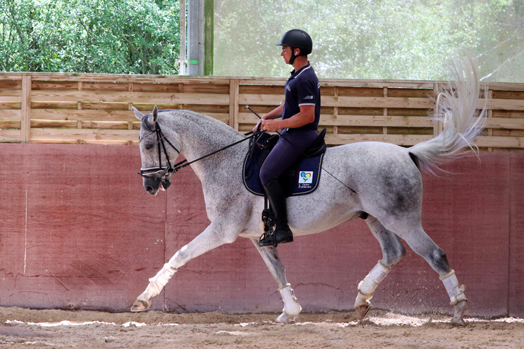 Adib El Sarakby, para-dressage