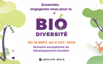 Affiche "Ensemble engageons-nous pour la Bio diversité"