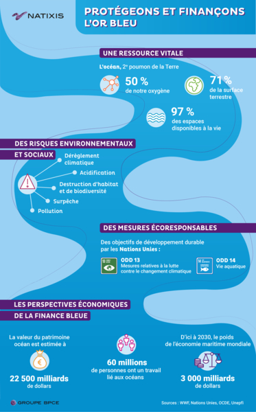 Infographie de la finance bleue