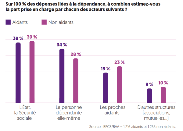 BPCE L'Observatoire sur les aidants : graphique